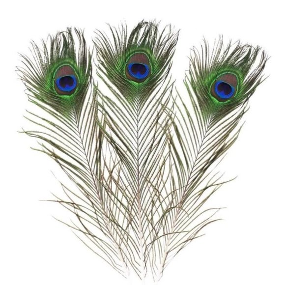 50 Count | Peacock GREEN Blue Feathers 10-12 inches for Wedding Decor - Picture 3 of 7